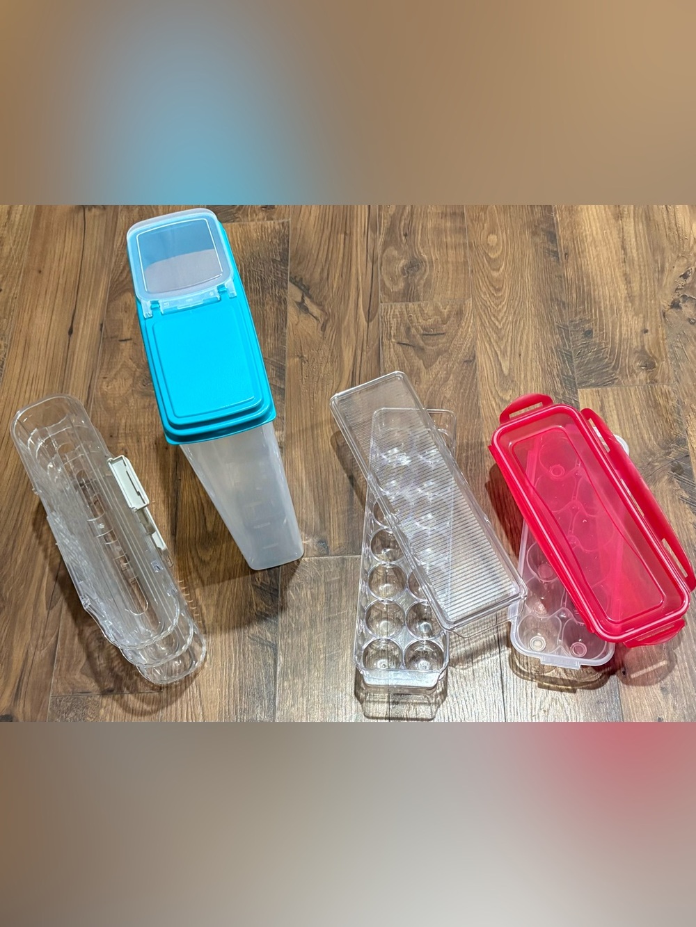 Clear Plastic Egg Container with Blue Lid - Food Storage